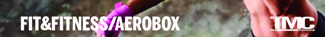 aerobox header